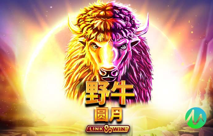 k球高清足球直播